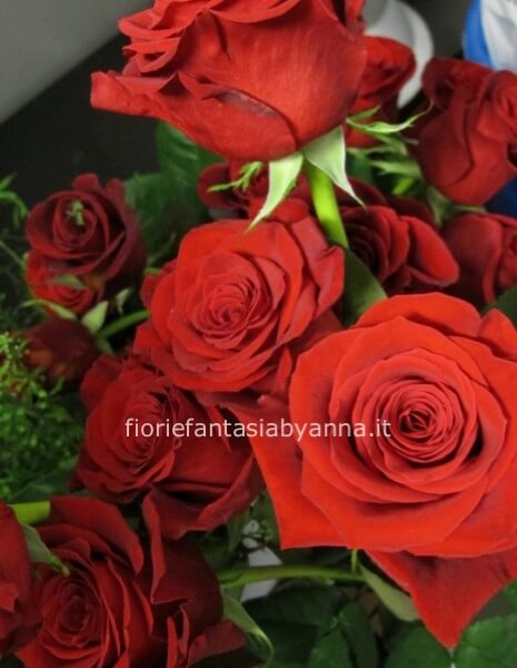 Rose rosse